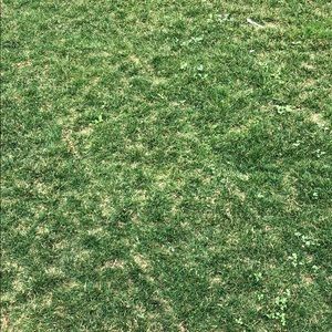 Meet your Posher, Sheva